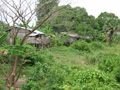 gal/03 - Kracheh/_thb_RIMG2000.jpg